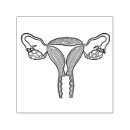 Search for ovary Girl