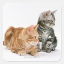 Search for interesting stickers Animals