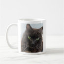 Recherche de minou classiques tasses Amoureux des chats