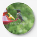 Search for ruby throated hummingbird Wildlife