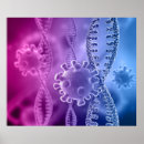 Recherche de cellules posters Éducation