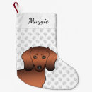 Recherche de saucisse chaussette de noël Doxie
