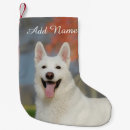 Search for dog christmas stockings For kids