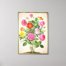 Recherche de 19ème siècle art Botanique