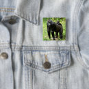 Recherche de plain badges Animaux