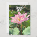 Search for lotus flower cards Pink