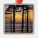Search for washington state ornaments Olympic