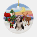 Search for beard ornaments Dogs