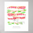 Search for bleeding art Pink flowers