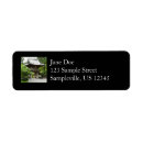 Search for gate return address labels Photography
