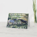 Search for moose cards Funny