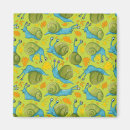 Search for the shell magnets For kids