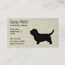 Recherche de basset cartes visite Animaux
