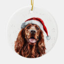 Search for irish setter ornaments Santa
