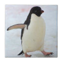 Recherche de penguin carreaux Antarctique