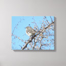 Search for mockingbird art Animal