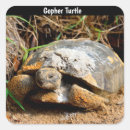 Search for slow turtle stickers Animal
