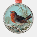 Search for robin bird ornaments Nature