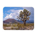 Recherche de mojave Travel