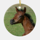 Recherche de cheval arabe ornements Plomb langrish