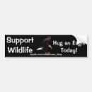 Search for bald eagles bumper stickers Eagle lovers
