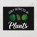 Recherche de ménagère cartes postales Jardinage