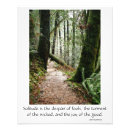 Search for redwood tree posters Hiking