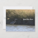 Search for blue heron postcards Herons