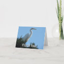 Search for florida pic cards Nature
