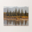 Search for jasper national park puzzles Forest