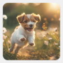 Recherche de papillon dog stickers Contenu générationnel