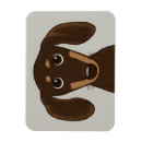 Recherche de molle magnets Dog