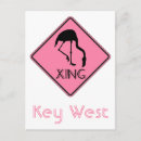 Search for flamingos postcards Key west