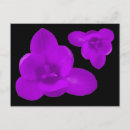 Recherche de fleurs de crocus cartes postales Jardin