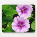 Search for glories mousepads Green