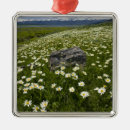 Search for meadows in ornaments National park