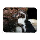 Recherche de de pingouin magnets Pour tous