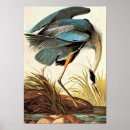 Search for vintage wildlife posters Blue