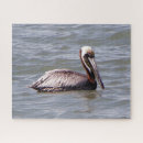Recherche de pelican puzzles Animal