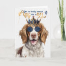 Search for springer spaniel birthday cards Dogs