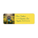 Search for yellow daffodils return address labels Cute