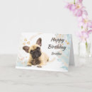 Search for a brother dog birthday birthday cards For him
