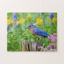 Search for bluebird puzzles Backyard