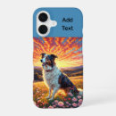 Search for border collie cases Canine