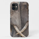 Search for shell universal iphone cases There