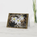 Search for sister in law cards Wildflower