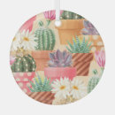 Recherche de succulents ornements Cactus
