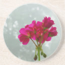 Search for geranium coasters Blossom