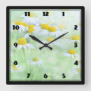 Recherche de marguerite blanche horloges Printemps