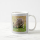 Search for wallaby mugs Cute